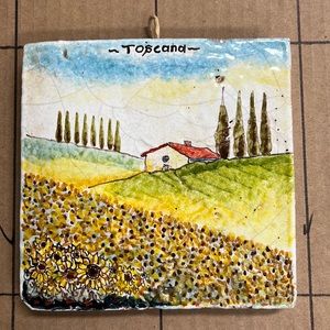 6x6 Hand Painted Tuscan Stone